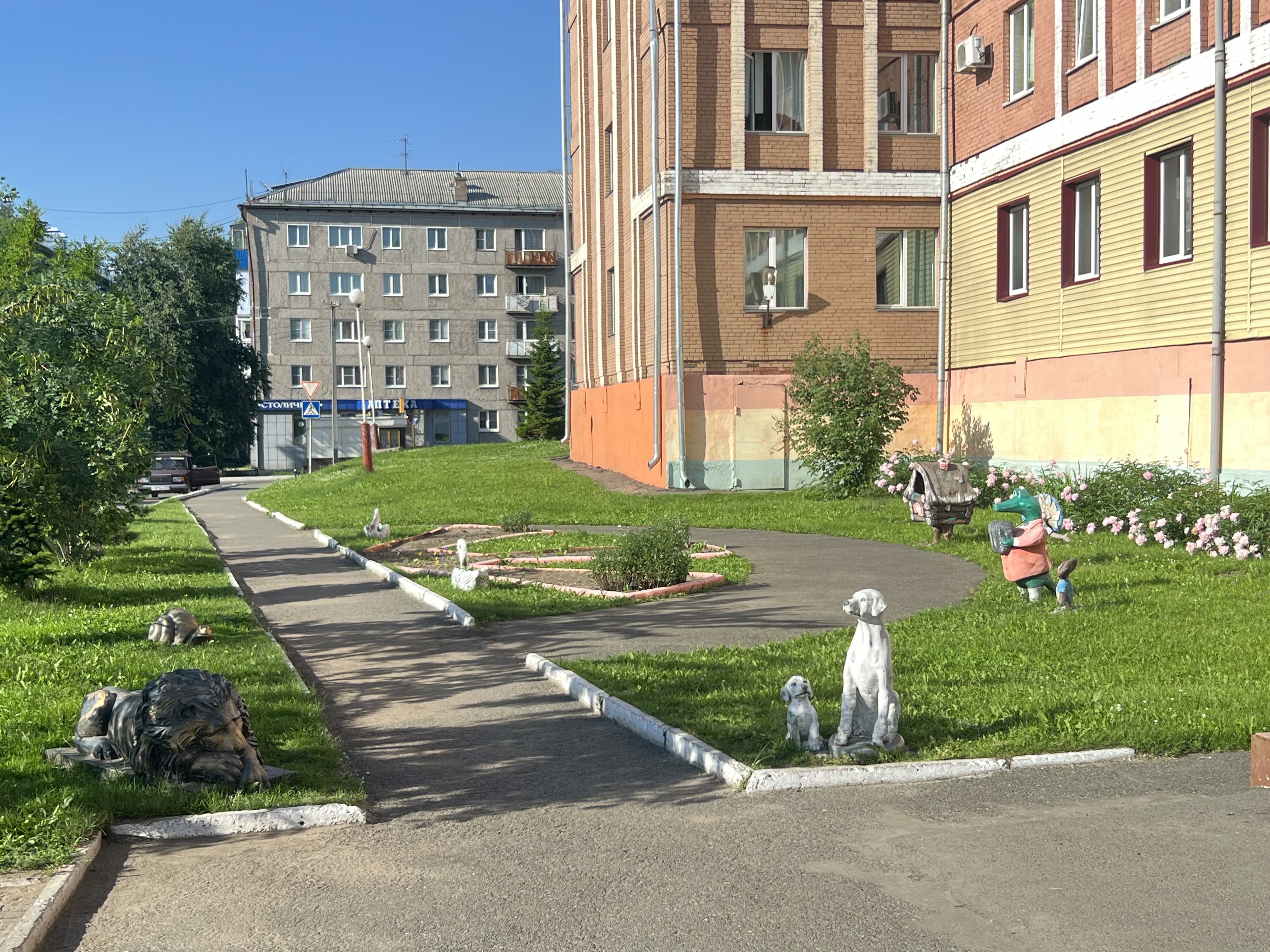 Фото библиотекаря Ткачёвой Н. В., 24.06.2024